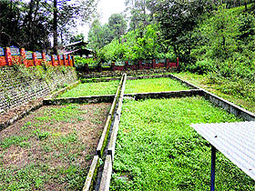 A thick layer of grass seen on tanks of the sewerage treatment plant which indicates that the plant has never been operational for the past many years.