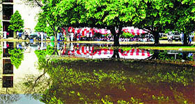 water accumulated at the PAU in Ludhiana.