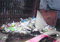 Heaps of garbage piled up in the Nehru Shopping Complex area in Amritsar. Photo: RK Soni