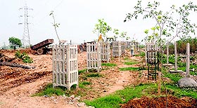 Trees have been planted at the dumping yard in Sector 74, Mohali.