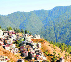 A view of buildings on the hills in Shimla. 