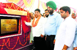 Gagret MLA Rakesh Kalia lays the foundation stone of a fish seed farm at Deoli village in Una.