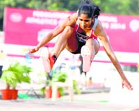 Keralas MA Prajusha won the triple jump gold with a leap of 13.39m at the Federation Cup in Patiala on Monday. Tribune photo