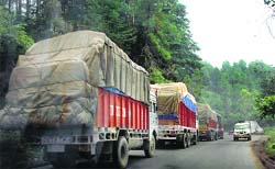Apple-loaded trucks move in a queue on NH-22 near Shimla. Tribune photo: Amit Kanwar