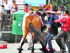 Local people come to the aid of a handler of a horse on The Ridge in Shimla. File photo