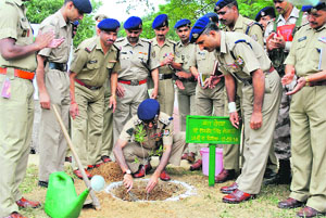ITBP personnel plant saplings at Jajerdeval near Pithoragarh on Tuesday