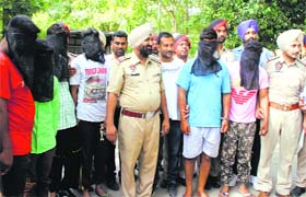 Seven members of the gang in police custody in Ludhiana