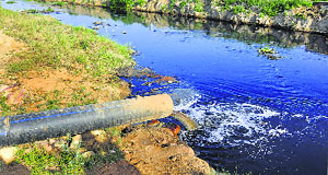 Effluents being discharged into the Kala Sanghian drain in Leather Complex in Jalandhar.
