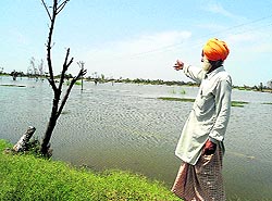 File photo of a waterlogged field