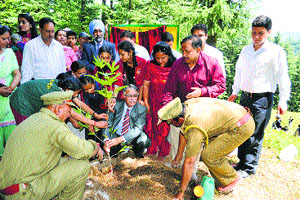 Justice Sanjay Karol, Judge of HP HC and Chairman, HP State Legal Services Authority, plants a chinnar sapling at Theog near Shimla on Sunday.