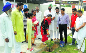 Dehlon block development officer (BDO) Rupinder Jit Kaur waters a sapling during a plantation programme at Dehlon near Ahmedgarh.