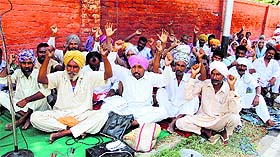 Members of the Forest Department Field Workers Union hold a dharna near the DFO office in Bathinda on Monday.