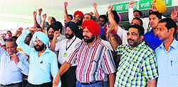 Workers of the Civil Hospital shun work for an hour to protest against the attack on a health team by the staff of a private hospital during a raid conducted this week in Amritsar on Tuesday