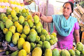 Mango magic: A woman chooses mangoes from a stall in Bathinda on Tuesday