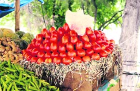 Price of tomatoes has reached Rs 65 per kg