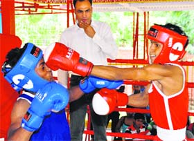 Jaikaran (right) lands a punch on Kuldeep during a match of the 15th Pt Mohan Lal Memorial Boxing Championship at SD Public School, Sector 32, Chandigarh.