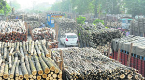 A view of the chaotic traffic conditions on the Yamunanagar-Jagadhari road.
