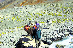 Traders have demanded a single window to save them from frisking during their movement to Tibet with their goods.