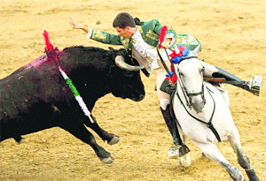 A bullfighter rides on his horse as he places a banderilla on the back of a fighting bull during a horseback bullfight at Sanse festival in San Sebastian de los Reyes, Spain.