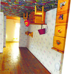 Inside the upside down house