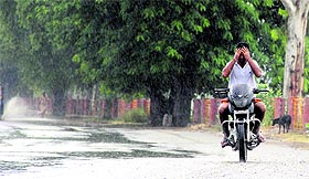 A motorcyclist, oblivious of the traffic rules, enjoys a ride during a spell of rain in Bathinda on Monday.