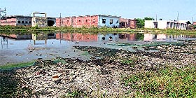 A view of the Jamsher dairy complex;