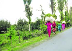 Done for the day: A group of women head for home with bundles of grass in Baramulla district on Tuesday