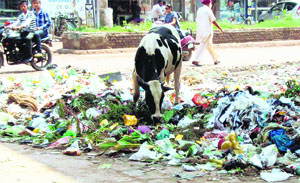Heaps of garbage lying at Raikot Road, Jagraon