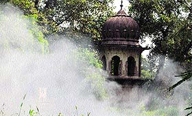 Burning garbage and plant waste has become a regular feature inside Ram Bagh in Amritsar. 