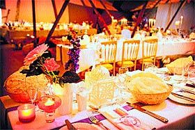 Extravagant weddings have become as elaborate as having a 40-course menu to celebrity guest apearances