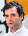 Rahul Gandhi, Congress Vice-president