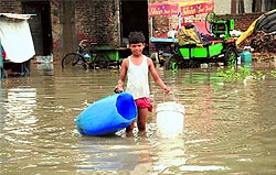 A house submerged in rainwater at Sarabha Nagar in Bathinda on Friday