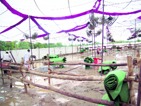 The venue of the CMs washed out rally in Samain village of Fatehabad on Friday.