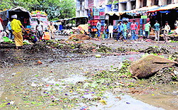 Vegetable leftovers float on stagnant water at the vegetable market, Sector 26, Chandigarh, on Saturday