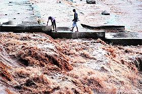 Unmindful of the danger, youths and children enter the flooded Ghaggar in Panchkula on Monday.