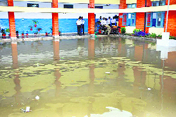 The inundated courtyard of the mini-secretariat.