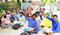 Veterinary AI workers and veterinary pharmacists from Phul hold a dharna outside their office on Bhagu Road in Bathinda on Thursday