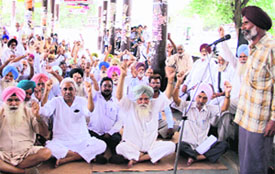 Members of the PRTC Pensioners Association stage a dharna at the mini-bus stand in Bathinda on Friday.