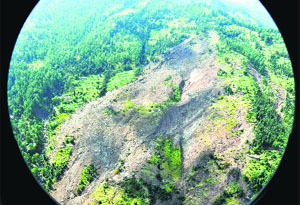 An aerial view of Sadhota village in Udhampur district. 
