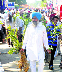 A farmer carries plants