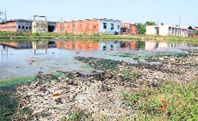 Jamsher Dairy Complex in Jalandhar