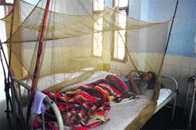 A suspected patient of dengue undergoes treatment at the isolation ward for patients at the Civil Hospital in Amritsar on Tuesday