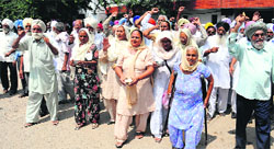 Members of the PRTC Pensioners Association beg during their protest against the Punjab government in Bathinda on Tuesday. Tribune photo: Pawan Sharma