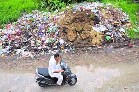 A heap of garbage on the outskirts of Jammu