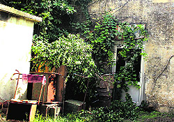 The dilapidated building of the Civil Surgeons office in Jalandhar