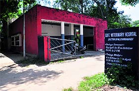 The kennel will come up at Government Veterinary Hospital in Sector 38, Chandigarh.