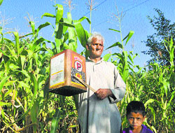 A farmer devices an indigenous way to scare away monkeys to save his crop at Sujana village near Shimla on Wednesday.