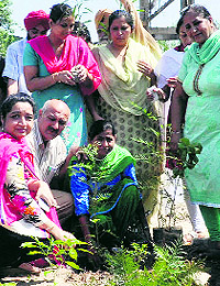 ESI officials plant saplings during a drive at the ESI hospital in the Industrial Area, Phase VII, Mohali, on Thursday. At least 800 saplings were planted during the drive to provide clean and pollution-free environment to the patients