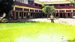 Pond water has entered the Government Senior Secondary School for Girls at Sohana village in Mohali