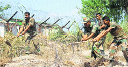 Army personnel repair a fence along the LoC in the Jammu region. Tribune Photo: Inderjeet Singh